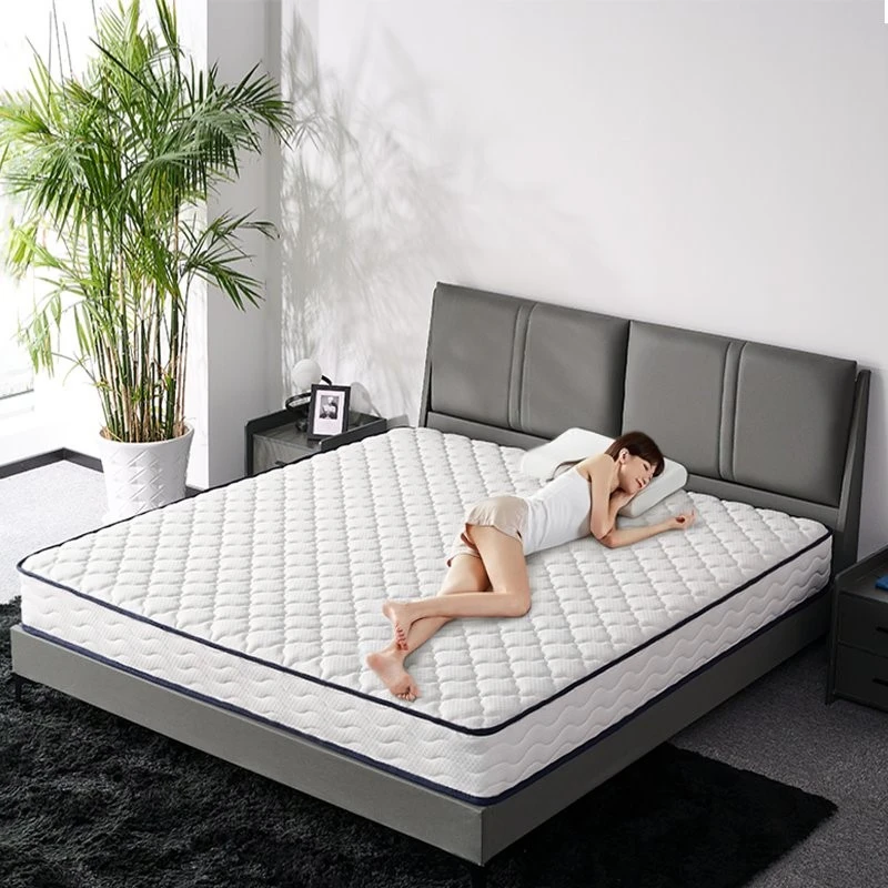 product-800-800
